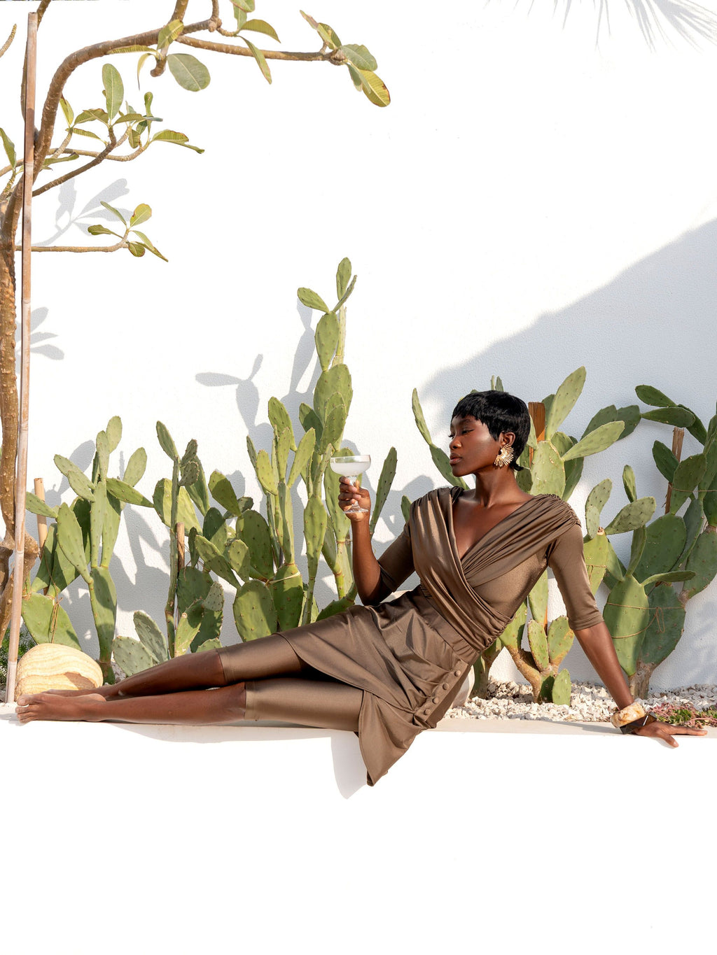 #color_glossy-khaki